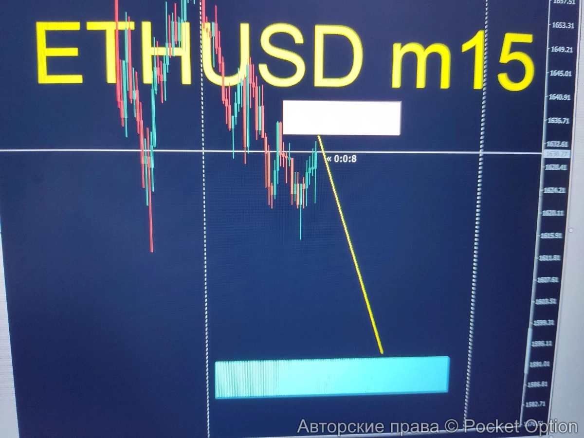 17810742666142814902821020279597