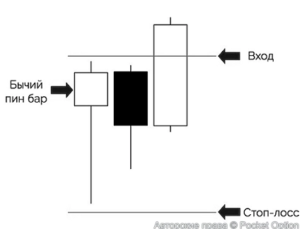 small/33632.webp