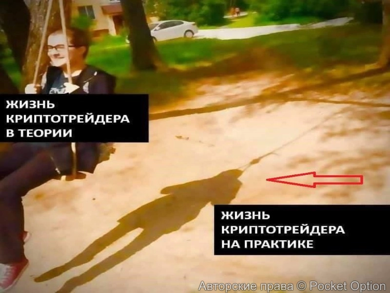 трейдер