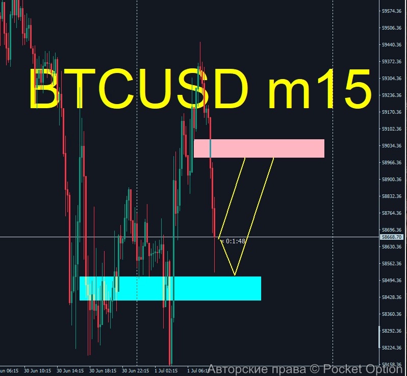 btcnew8