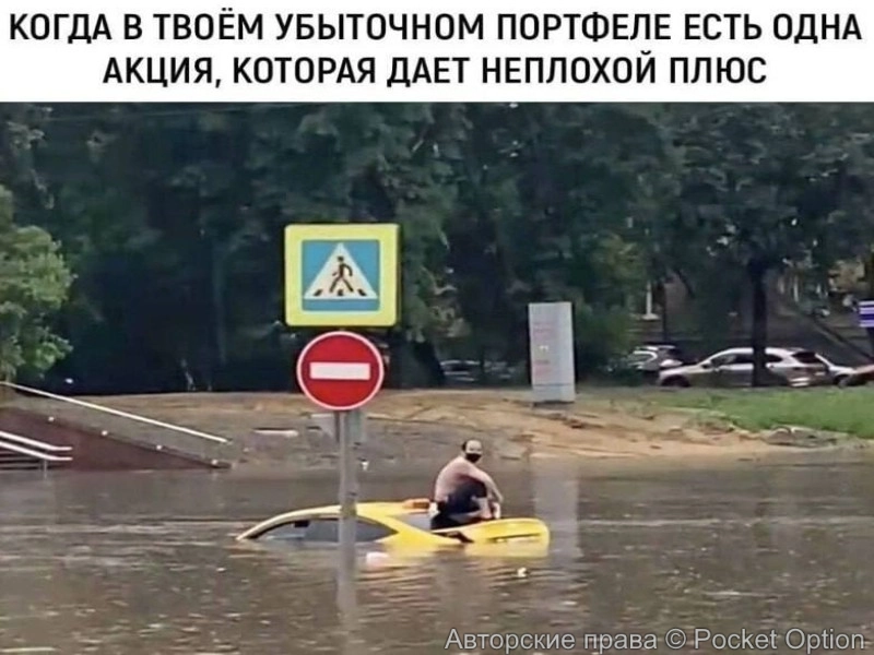 портфель