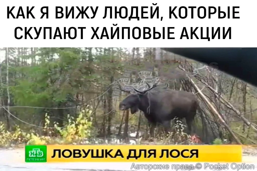 лось