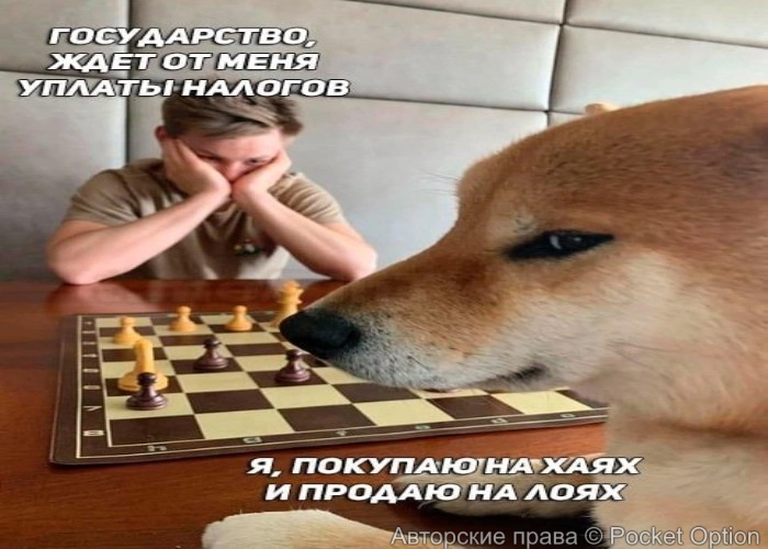 налог