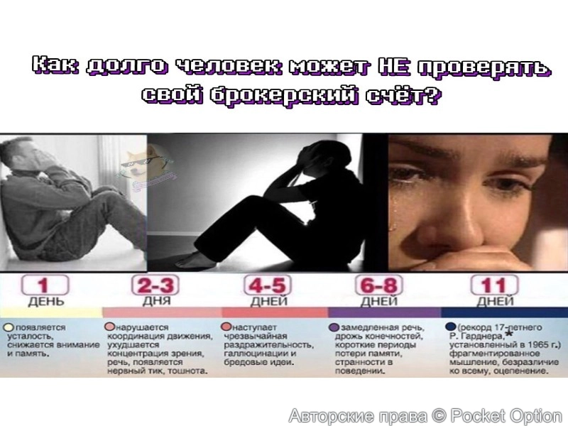 счёт