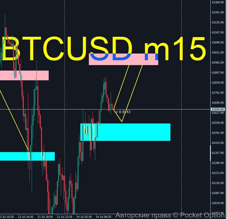 btcnew12