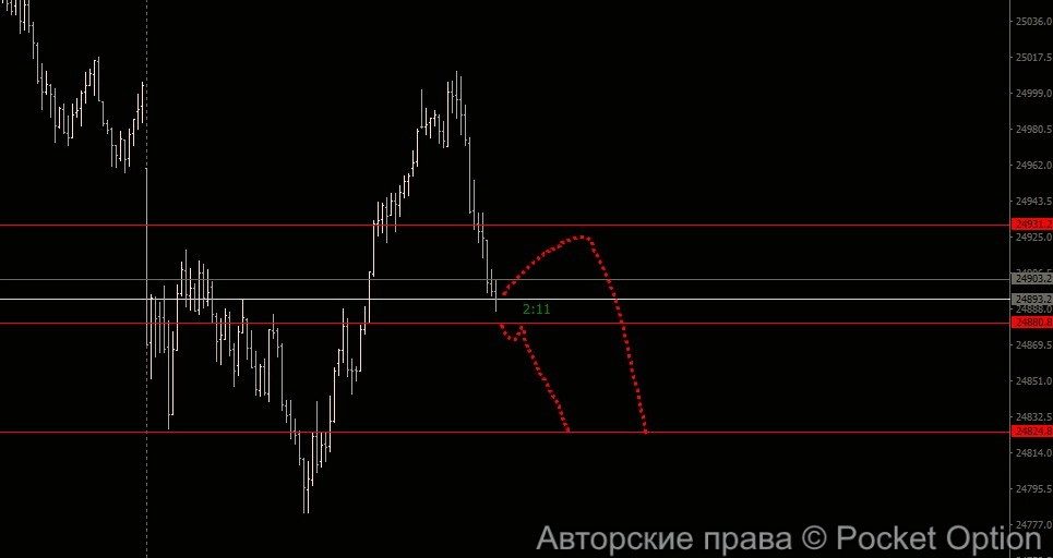 daxp81