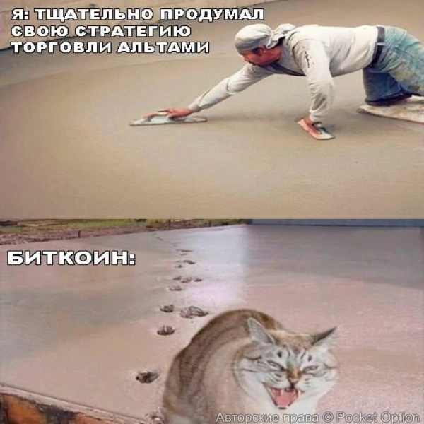 план