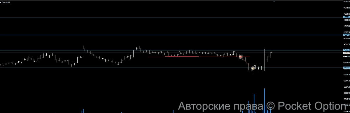 золото м5 17