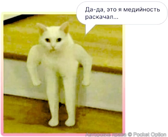 medi