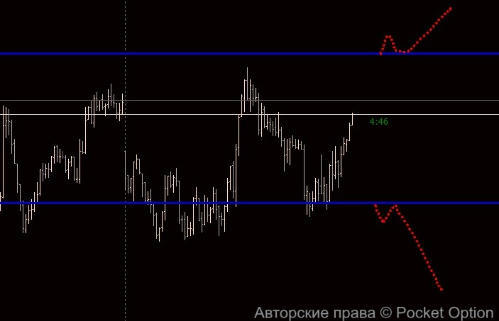 daxp101
