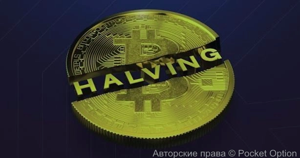 Халвинг