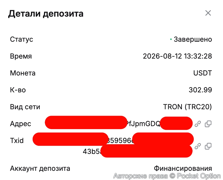вывод 12 08