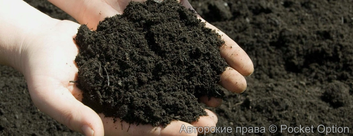 Восстановление грунта