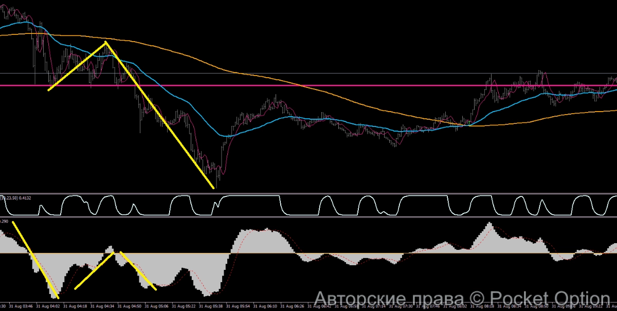 small/37154.webp