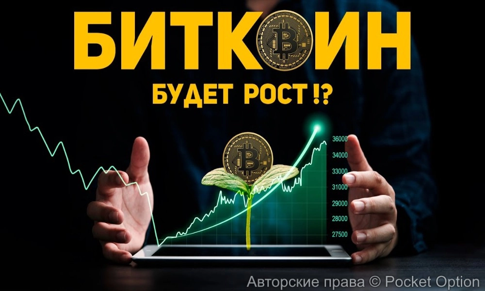 битк