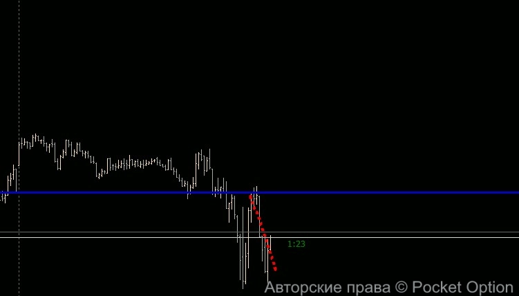 daxp146