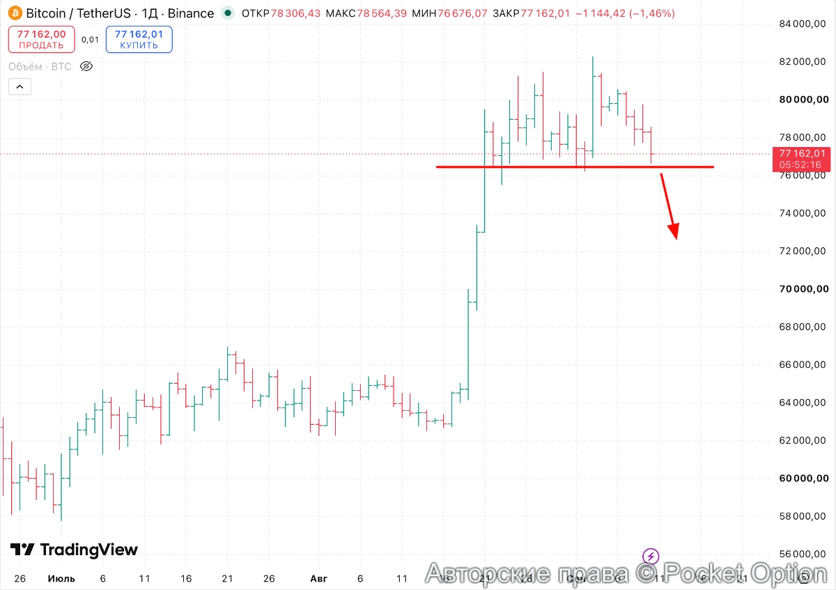 дамп битка
