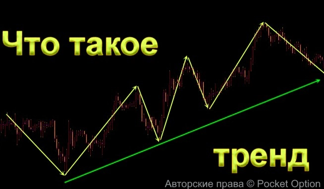 trend7