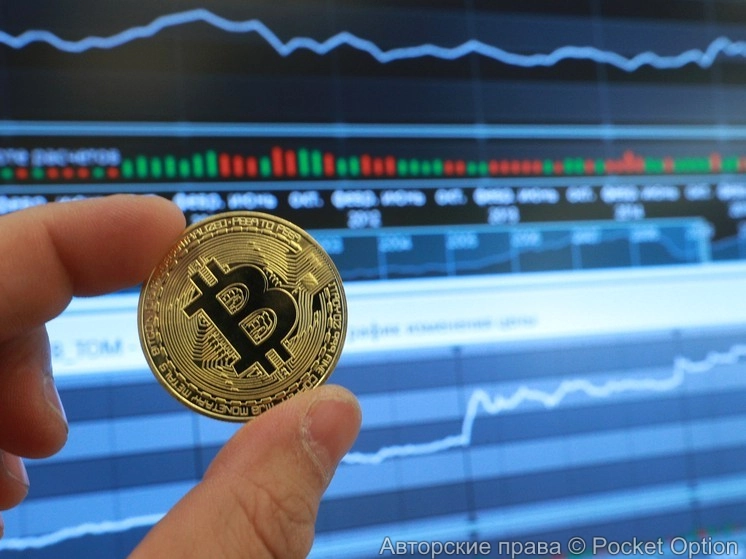 В России порядка 20 млн пользователей криптовалюты