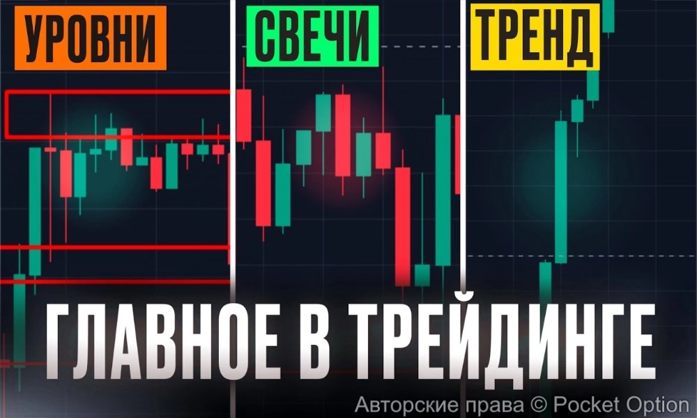 св