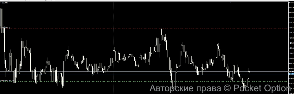золото 24