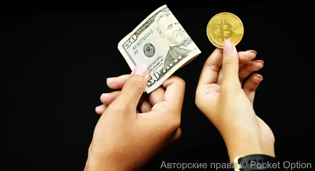 доллабитк