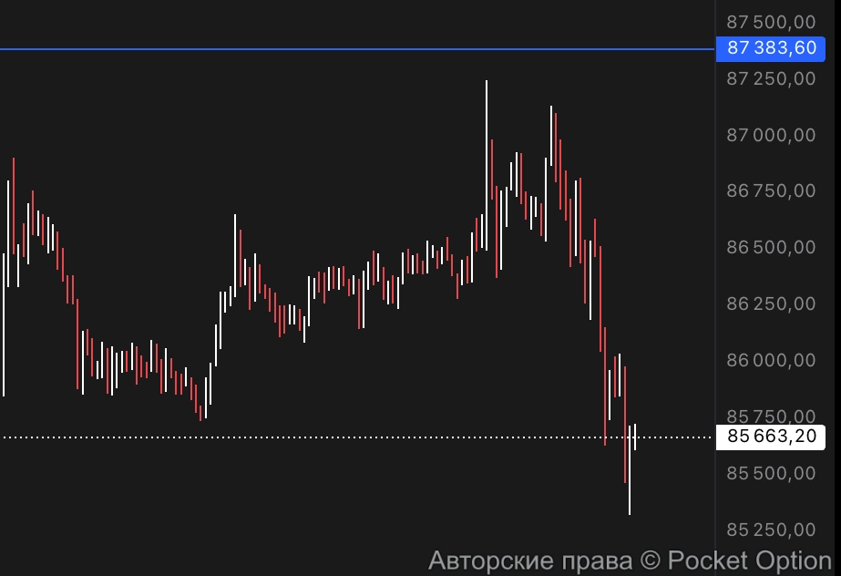 продавец по битку