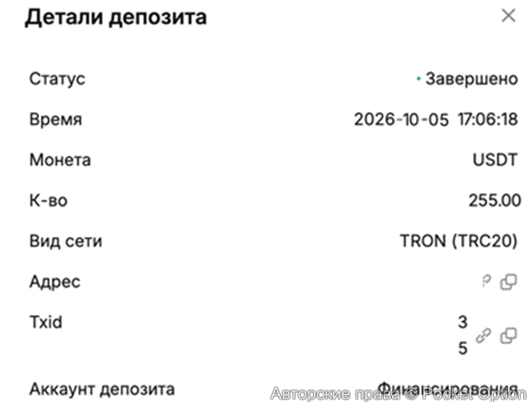 вывод25