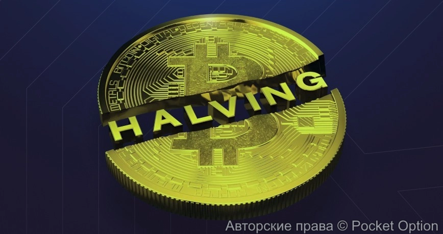 Халвинг (2)
