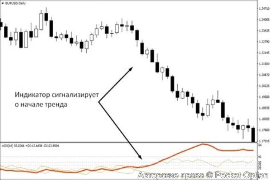 small/39409.webp