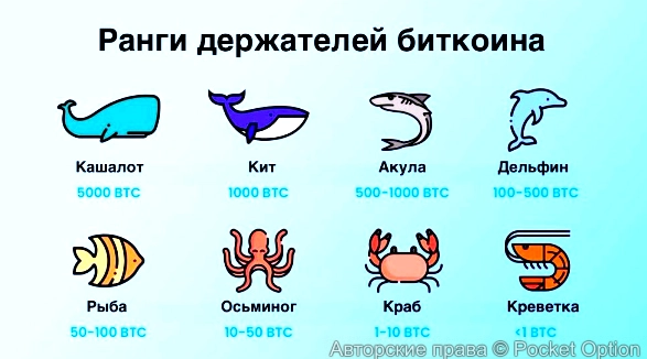 ранги держателей биткоина