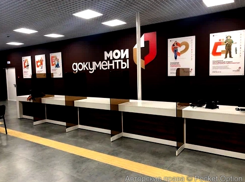 мои документы