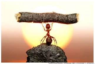 достижения