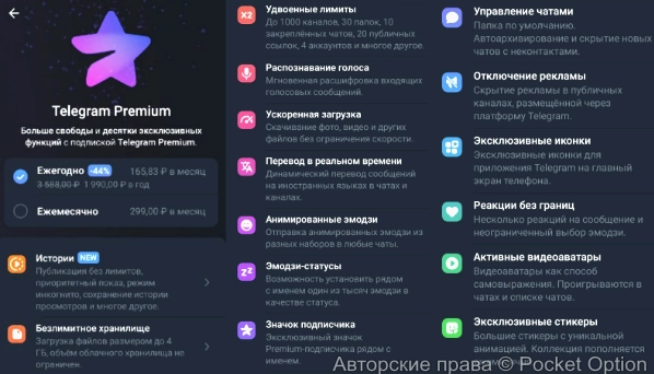 что входит в телеграмм премиум