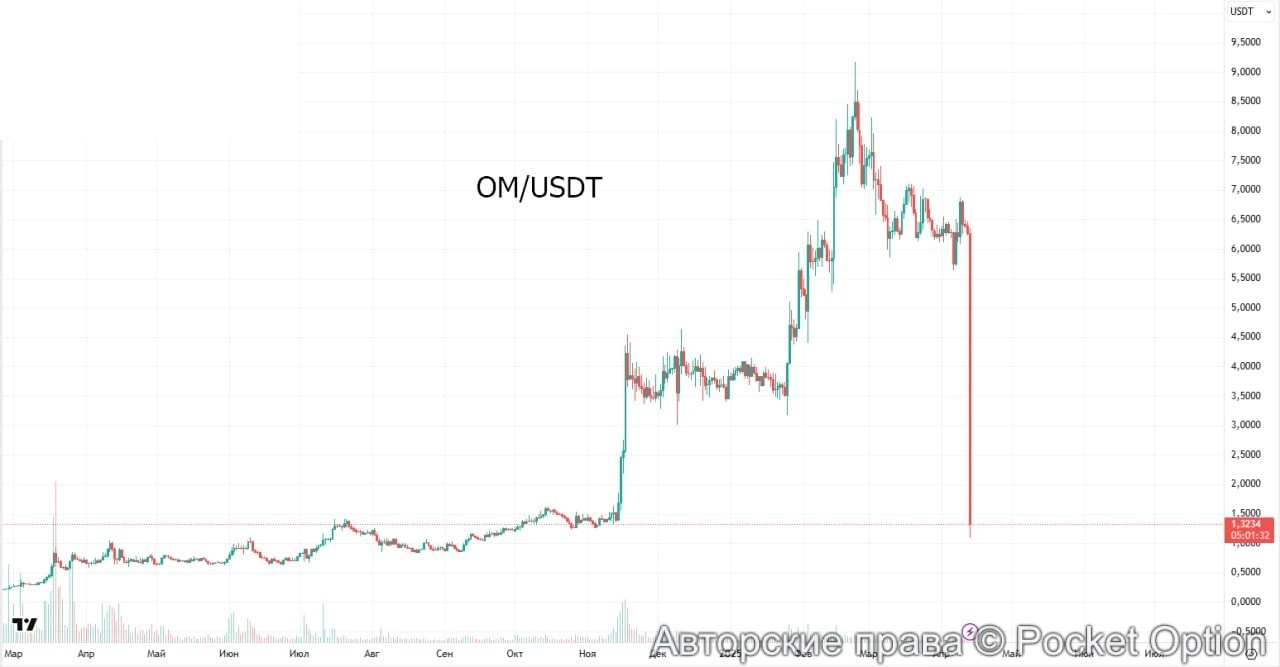 telegram-cloud-photo-size-2-5467809426317643582-y